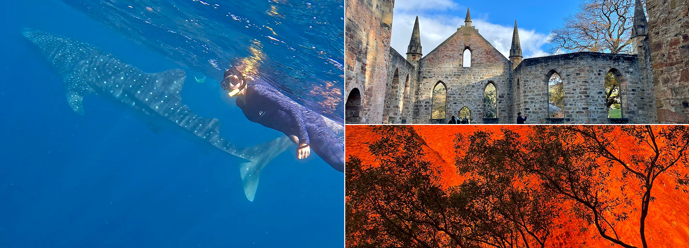 A Tapoi guest swims with whale sharks in Exmouth during their 4 week luxury adventure in Australia | Tapoi Travel