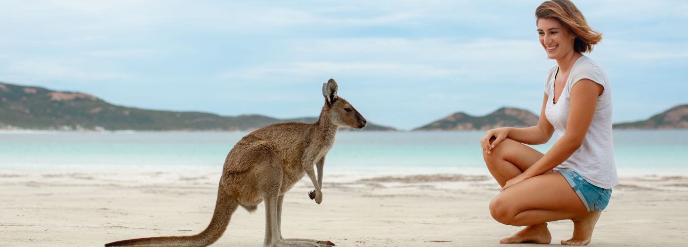 Australia's Wildlife