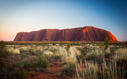 The Outback