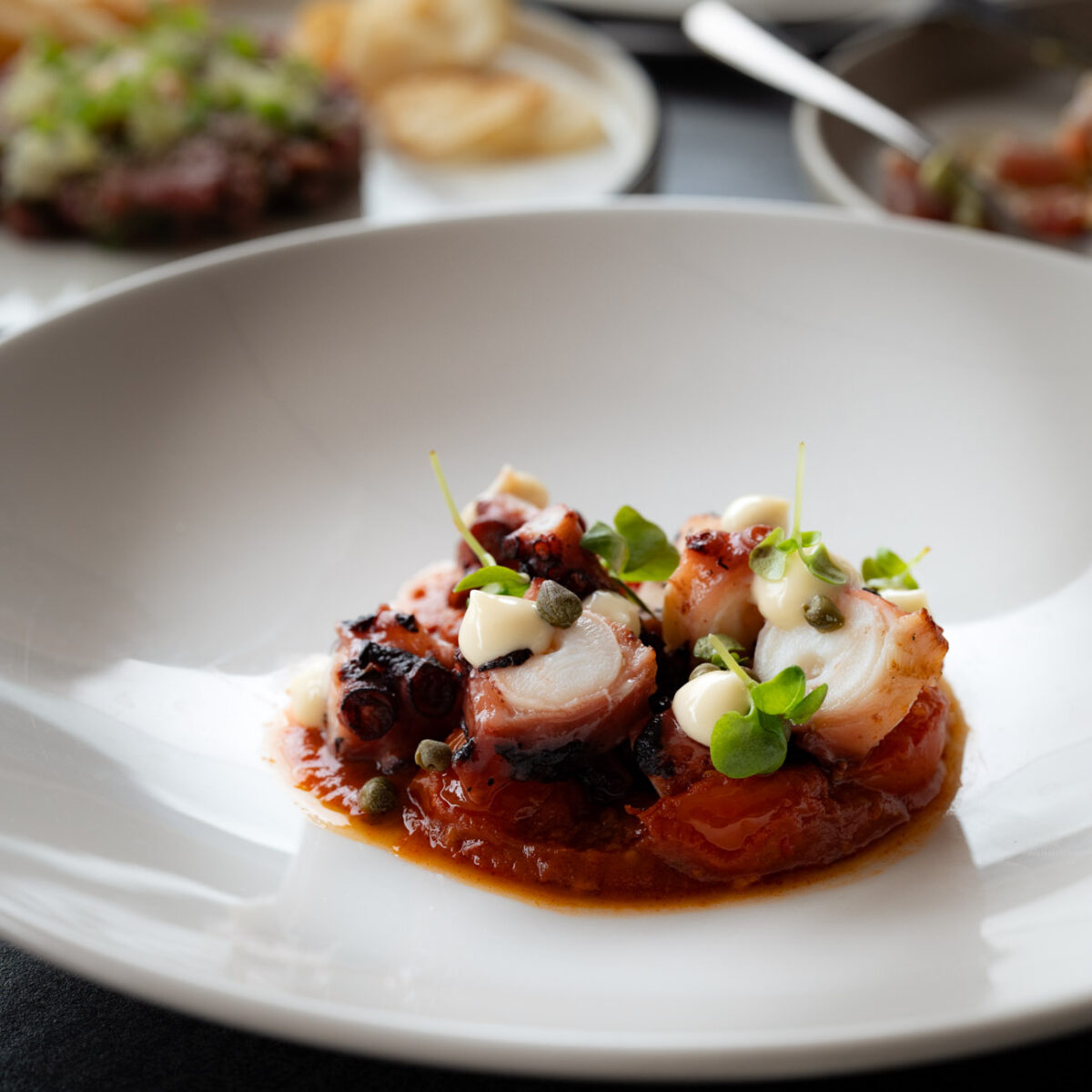 Dishes from the menu at Café Sydney, Circular Quay