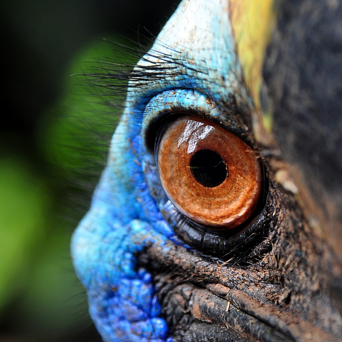 Nature & Wildlife