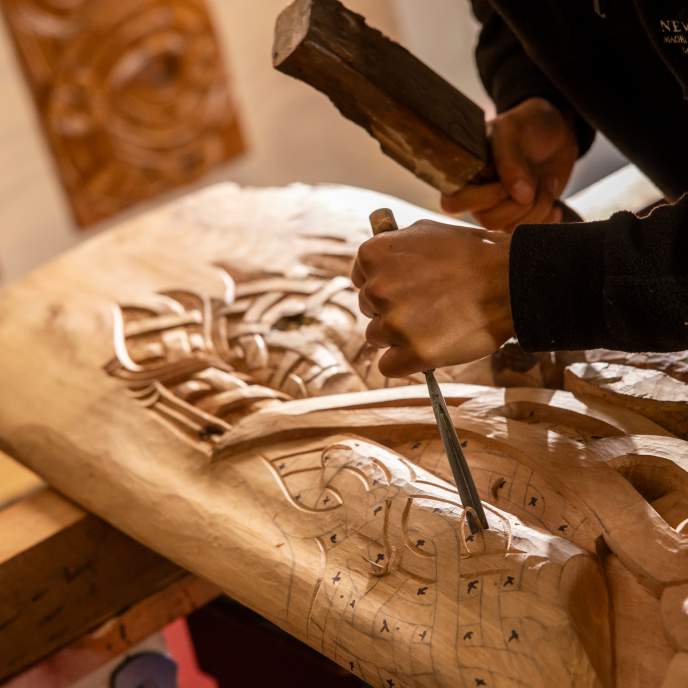 New Zealand Experiences