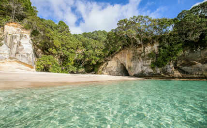 New Zealand Beaches