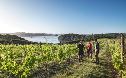 Vineyards & Wineries